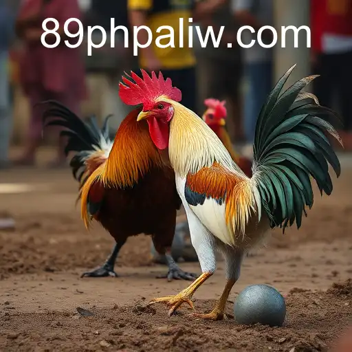 Cockfighting: Cultural Legacy and Controversies